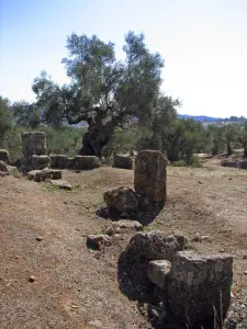 Ancient Sparta  - PELOPONNESE