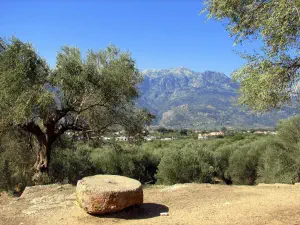 Ancient Sparta  - PELOPONNESE