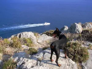 Monemvasia  - PELOPONNESE