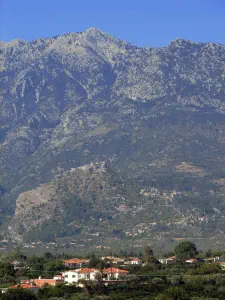 Mystras  - PELOPONNESE