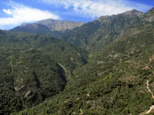 Mystras  - PELOPONNESE
