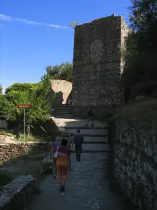 Mystras Castle  - PELOPONNESE