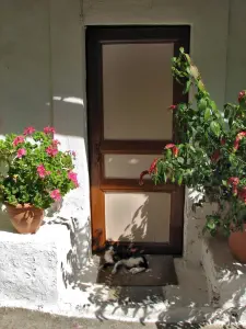 Mystras Pantanassa Monastery  - PELOPONNESE