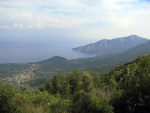Poulithra  - PELOPONNESE