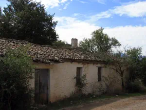 Poulithra  - PELOPONNESE