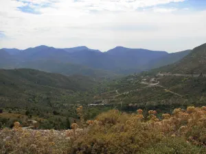 Poulithra  - PELOPONNESE