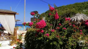 Vrika Beach  - ANTIPAXOS