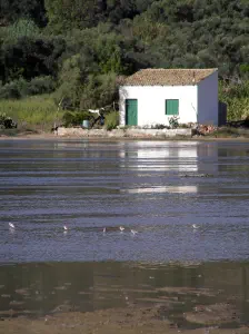 Korission Lake  - CORFU