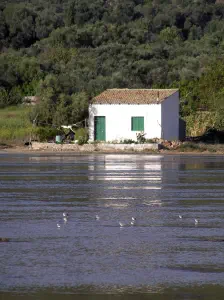Korission Lake  - CORFU