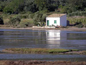 Korission Lake  - CORFU