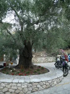 Agios Nikitas  - LEFKADA
