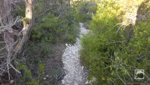 Cape Lakka Beach  - PAXOS