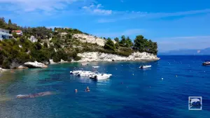 Longos  - PAXOS