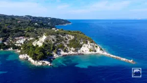 Longos  - PAXOS