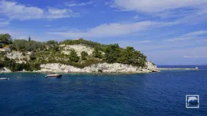 Longos  - PAXOS