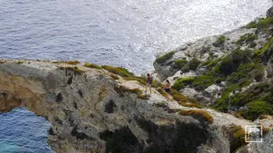 Tripitos Arch  - PAXOS