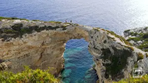 Tripitos Arch  - PAXOS