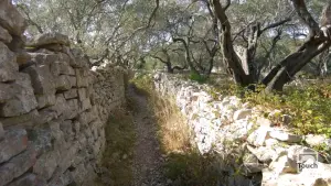 Tripitos Arch  - PAXOS