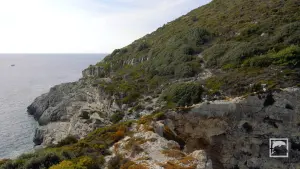 Tripitos Arch  - PAXOS