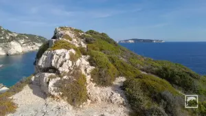 Tripitos Arch  - PAXOS
