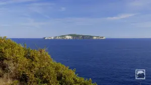 Tripitos Arch  - PAXOS