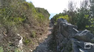 Tripitos Arch  - PAXOS