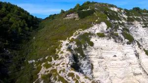 Tripitos Arch  - PAXOS