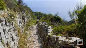 Tripitos Arch  - PAXOS