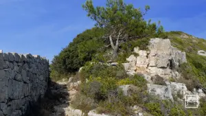 Tripitos Arch  - PAXOS