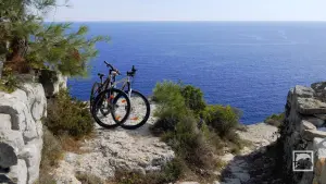 Tripitos Arch  - PAXOS