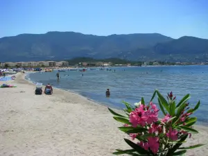 Alikanas Beach  - ZAKYNTHOS