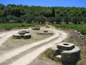 Andronios Wells  - ZAKYNTHOS