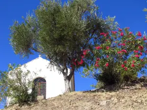 Argassi  - ZAKYNTHOS