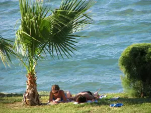 Argassi  - ZAKYNTHOS