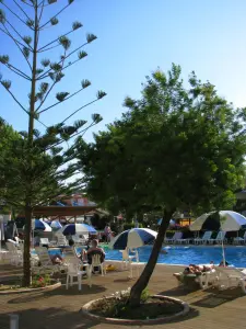 Argassi  - ZAKYNTHOS