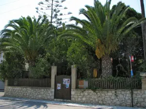 Argassi  - ZAKYNTHOS