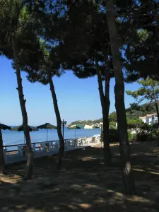 Argassi  - ZAKYNTHOS