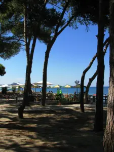 Argassi  - ZAKYNTHOS