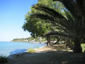 Argassi  - ZAKYNTHOS