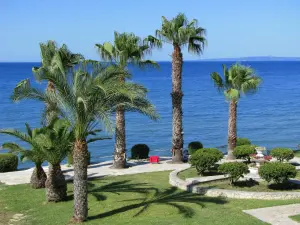 Argassi  - ZAKYNTHOS