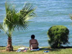 Argassi  - ZAKYNTHOS