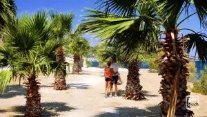 Argassi  - ZAKYNTHOS