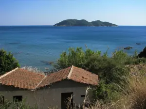 Dafni Beach  - ZAKYNTHOS