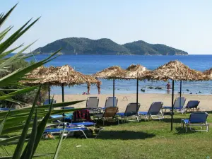 Dafni Beach  - ZAKYNTHOS