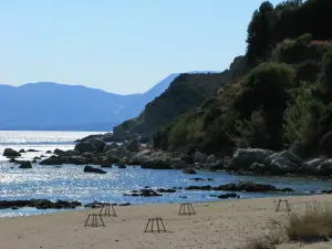 Dafni Beach  - ZAKYNTHOS