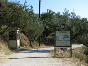 Dafni Beach  - ZAKYNTHOS