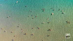 Dafni Beach  - ZAKYNTHOS