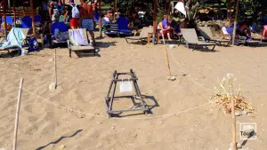 Dafni Beach  - ZAKYNTHOS