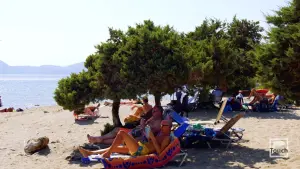 Dafni Beach  - ZAKYNTHOS