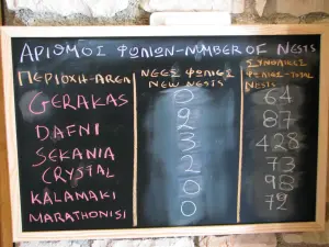 Dafni Exhibition Center Sea Turtle Caretta Caretta  - ZAKYNTHOS